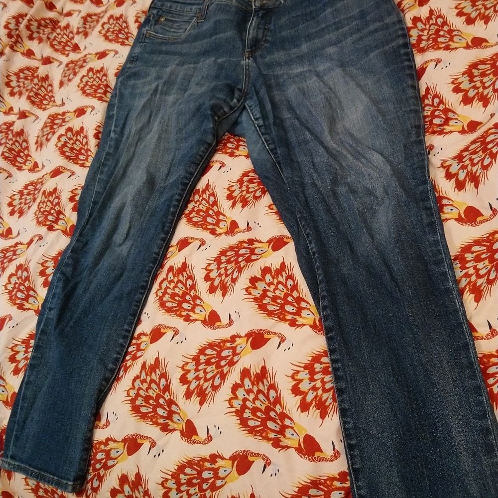 Kut From the Kloth Catherine Boyfriend 16w